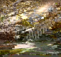 Wendy Whiteley's Secret Garden - Gold Coast Attractions