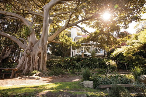 Wendy Whiteley's Secret Garden - Gold Coast Attractions 0