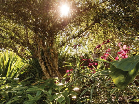 Wendy Whiteley's Secret Garden - Gold Coast Attractions 1