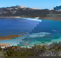 Whitemark - Gold Coast Attractions