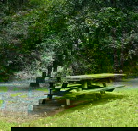 Williams River picnic area