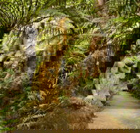 William Ricketts Sanctuary - Gold Coast Attractions