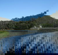 Yalwal - Gold Coast Attractions