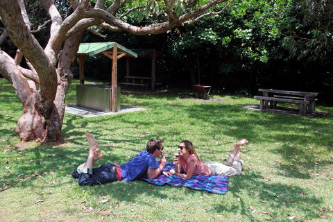 Abrahams Bosom Reserve - Gold Coast Attractions 1