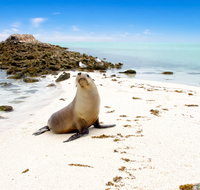 Abrolhos Islands - Gold Coast Attractions