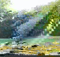 Airlie Beach to Cedar Creek Falls - Gold Coast Attractions