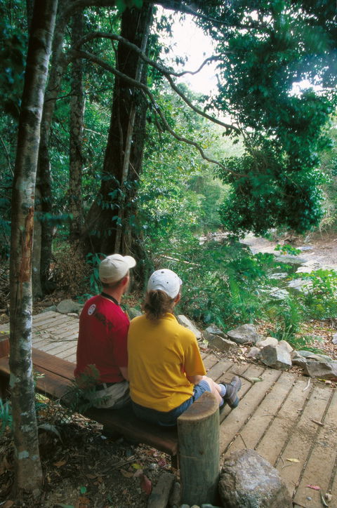 Airlie Beach To Cedar Creek Falls - Gold Coast Attractions 2