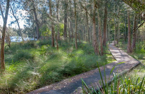 Anabranch Loop Track - Gold Coast Attractions 0