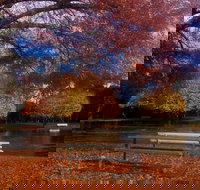 Bells Parade Reserve - Gold Coast Attractions