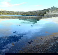 Berrara Creek - Gold Coast Attractions