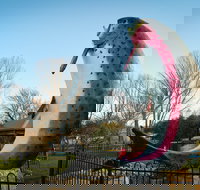 Big Trout - Gold Coast Attractions