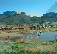 Biggenden - Gold Coast Attractions