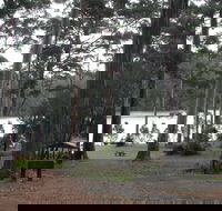 Big Brook Arboretum - Gold Coast Attractions