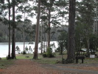 Big Brook Arboretum