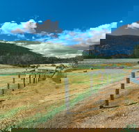 Blackwood River Tourist Drive - Gold Coast Attractions