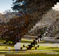 Blayney Golf Club - Gold Coast Attractions