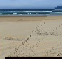 Bongil Beach - Gold Coast Attractions