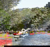Bonville Creek - Gold Coast Attractions