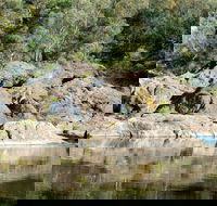 Boonoo Boonoo National Park - Gold Coast Attractions