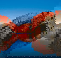 Boodjamulla Lawn Hill National Park - Gold Coast Attractions