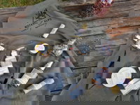 Botanic Alps Aroma Apothecary