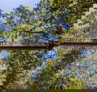 Bribie Island Bicentennial Trails - Gold Coast Attractions