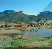 Bundaberg- Biggenden- Mount Perry Circle - Gold Coast Attractions