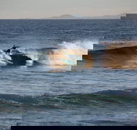 Coffs Coast State Park - Gold Coast Attractions