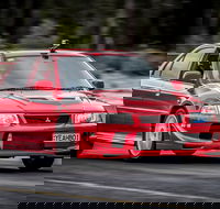 Collie Motorplex - Gold Coast Attractions