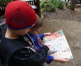 Cumberland State Forest - Gold Coast Attractions 2