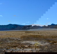 Darke Peak Scenic Drive - Gold Coast Attractions