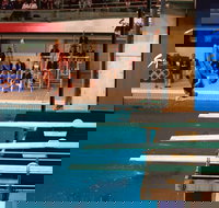 Dive Into History at Sydney Olympic Park Aquatic Centre - Gold Coast Attractions