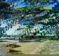 Dumbleyung - Gold Coast Attractions