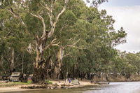 Edward River