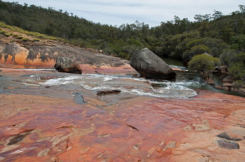 FR Berry Reserve - Gold Coast Attractions 0