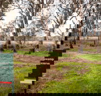 Gemmill Swamp Wildlife Reserve - Gold Coast Attractions