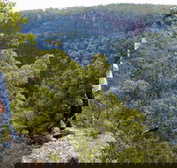 Glenbrook Gorge Track - Gold Coast Attractions