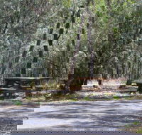 Goonoowigall State Conservation Area - Gold Coast Attractions