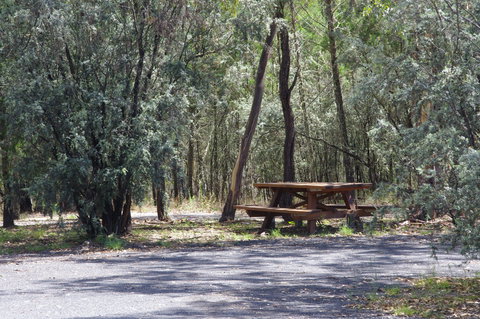 Goonoowigall State Conservation Area - Gold Coast Attractions 0