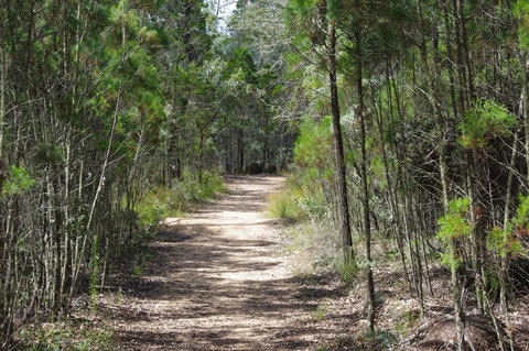 Goonoowigall State Conservation Area - Gold Coast Attractions 1