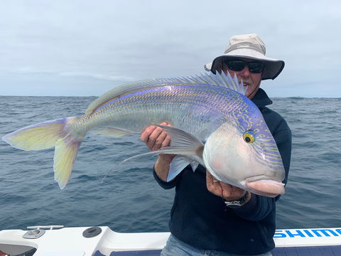 GT Fishing Charters - Gold Coast Attractions 1