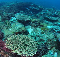 Hanging Rock Dive Site - Gold Coast Attractions