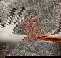 Hands of Fame Park - Gold Coast Attractions