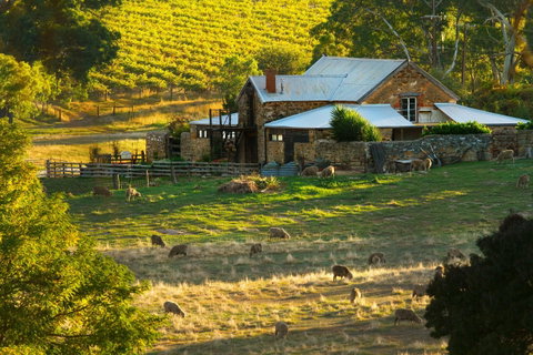 Hutton Vale Farm - Gold Coast Attractions 1