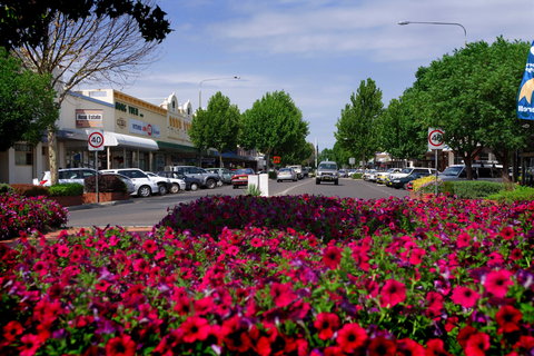Inverell - Gold Coast Attractions 1