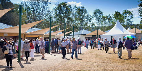 Ivory's Rock Conventions And Events - Gold Coast Attractions 2