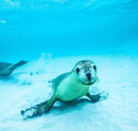 Jurien Bay - Gold Coast Attractions