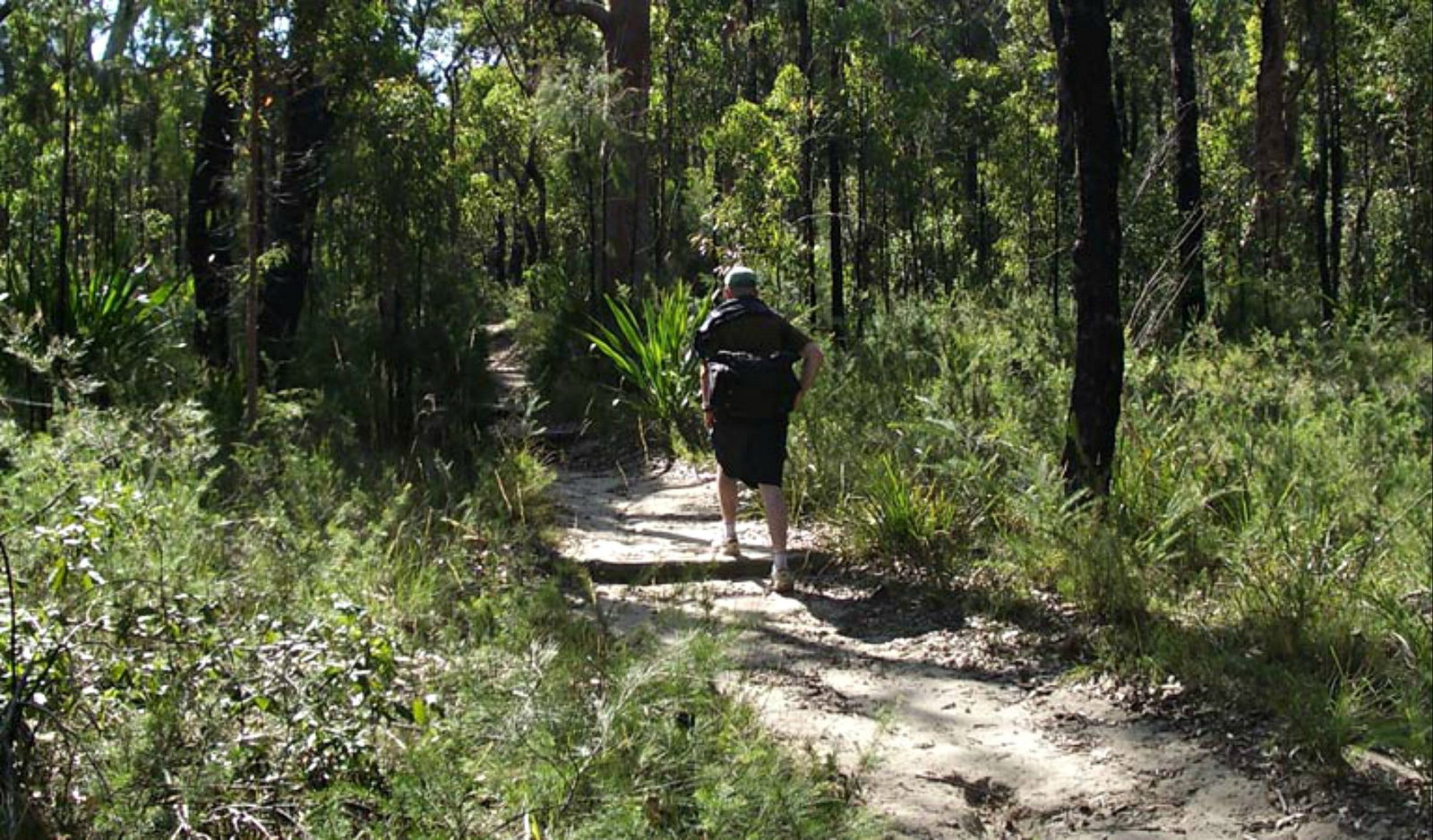 Engadine NSW Gold Coast Attractions