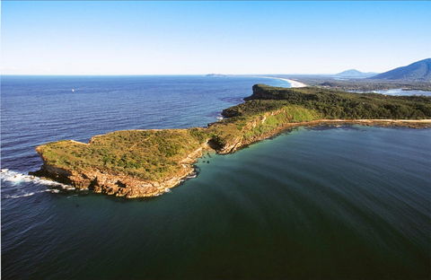 Kattang Nature Reserve - Gold Coast Attractions 0