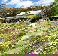 Kate's Berry Farm - Gold Coast Attractions